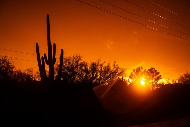 Silhouette of a saguaro cactus against a blazing orange sunset sky in Arizona